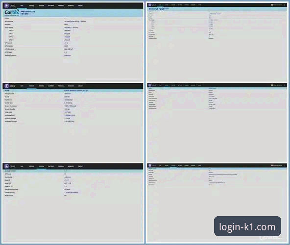 K1体育官网登录入口 vs. 传统访问方式：哪个更高效？
